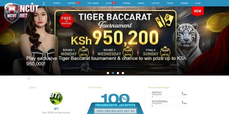 Trang website nhà cái không bao giờ sập