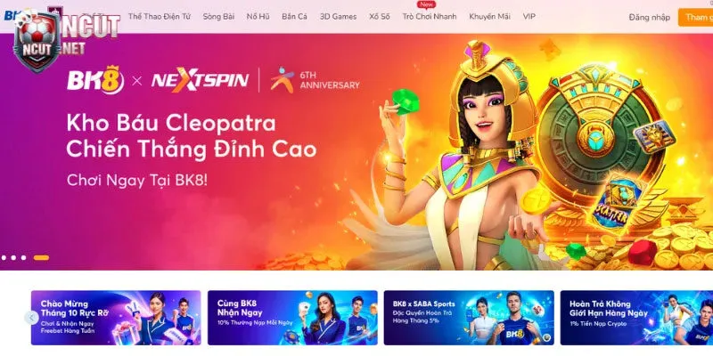 Điền chuẩn thông tin cá nhân BK8