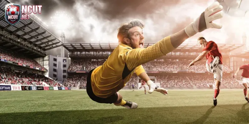 Hướng dẫn cách đọc kèo châu Á phổ biến cho bet thủ 