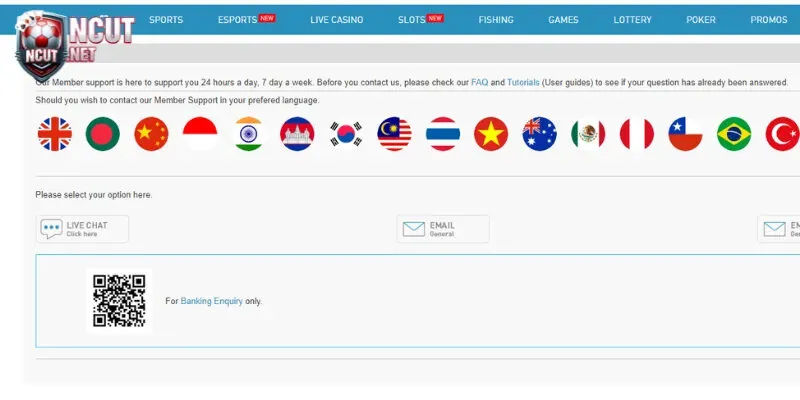 Liên hệ hỗ trợ từ tổng đài khi đăng ký/đăng nhập W88