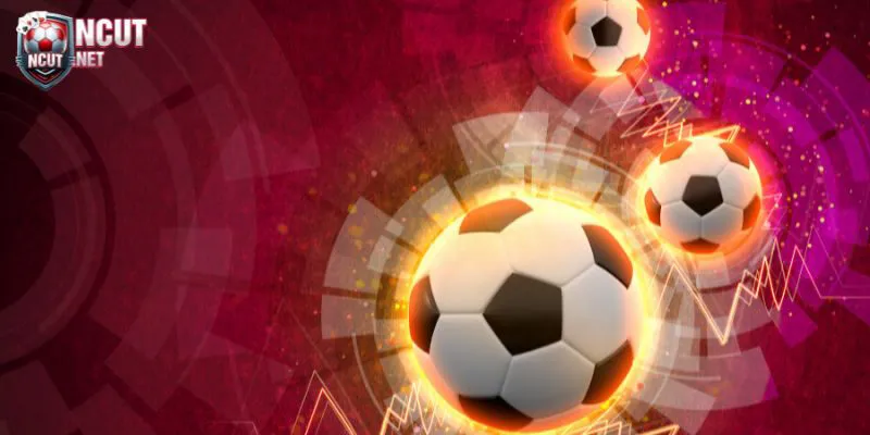 Các đối tác uy tín NET88