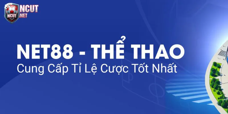 Lịch sử phát triển của NET88